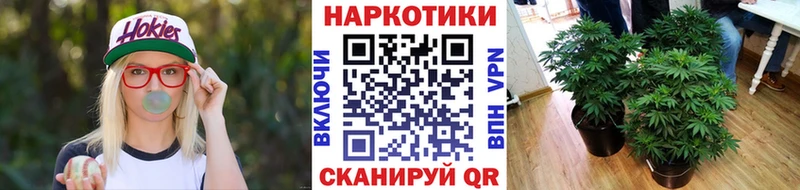 Сколько стоит Строитель СК  COCAIN  АМФЕТАМИН  Конопля  Гашиш  Меф мяу мяу 