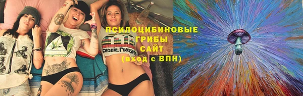 герыч Пересвет