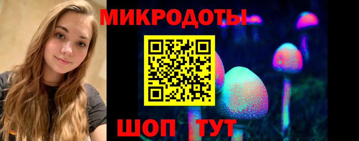 Строитель  Псилоцибиновые грибы Magic Shrooms  Вход с VPN  Псилоцибиновые грибы Cubensis 
