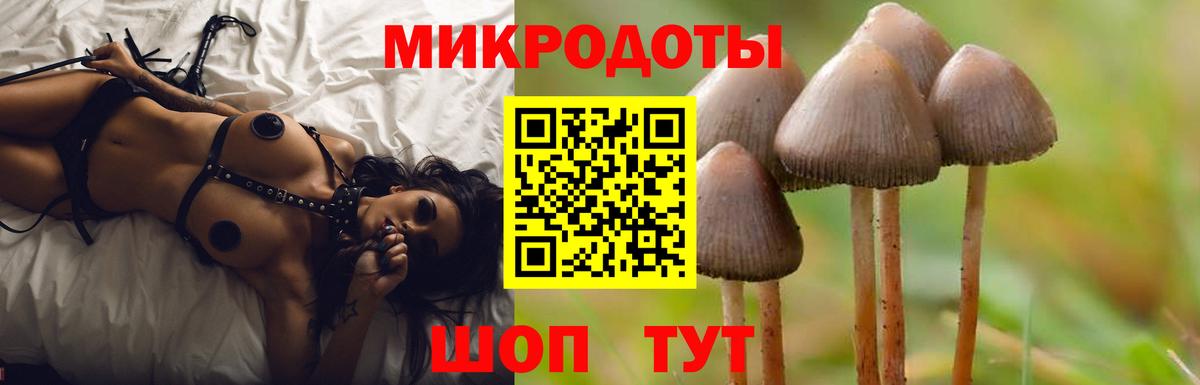 Псилоцибиновые грибы GOLDEN TEACHER Строитель
